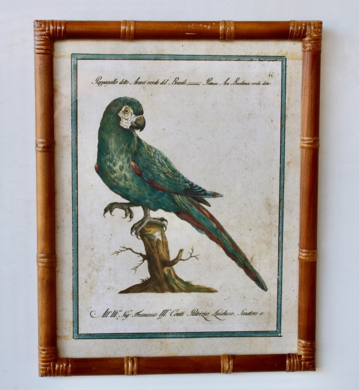 GREEN PARROT PICTURE BAMBOO FRAME