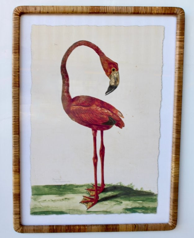 PINK FLAMINGO PICTURE CANE FRAME
