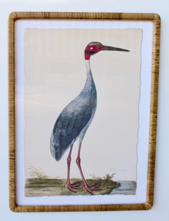 BLUE CRANE PICTURE CANE FRAME