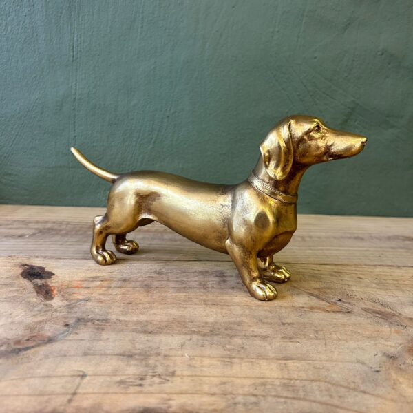 Cressida Sausage Dog