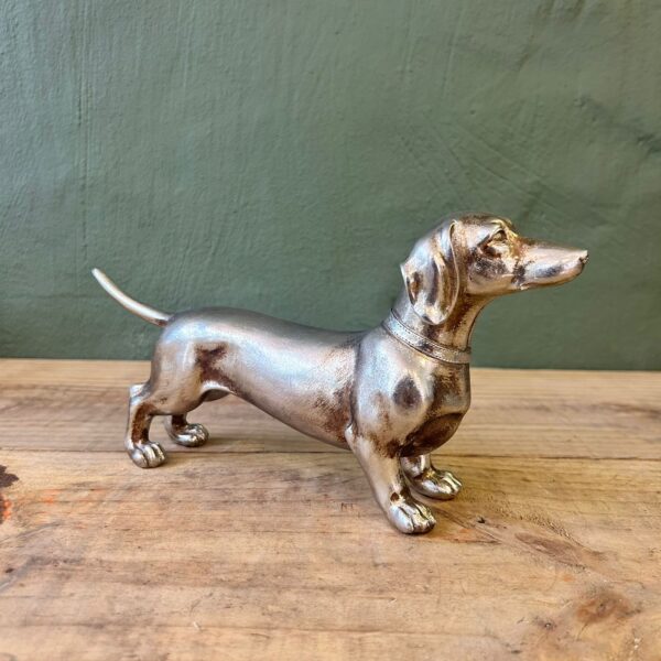 Argi Sausage Dog