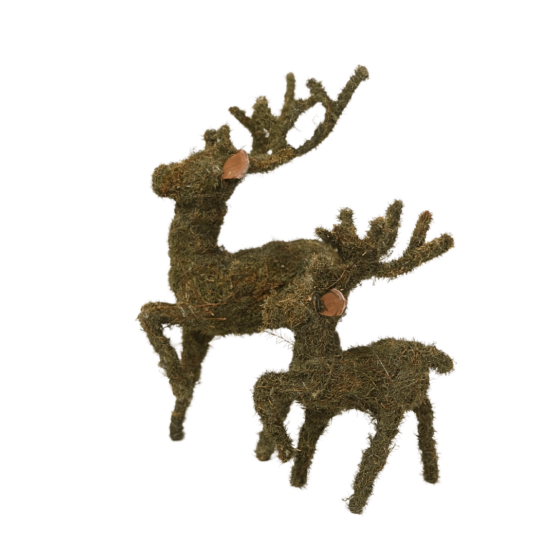 Reindeer Brazilia – Natural