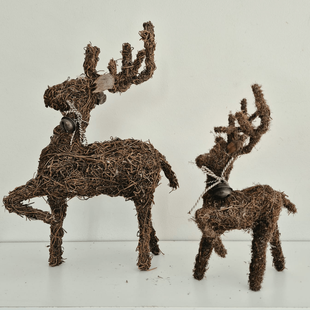 Reindeer Brazilia – Natural