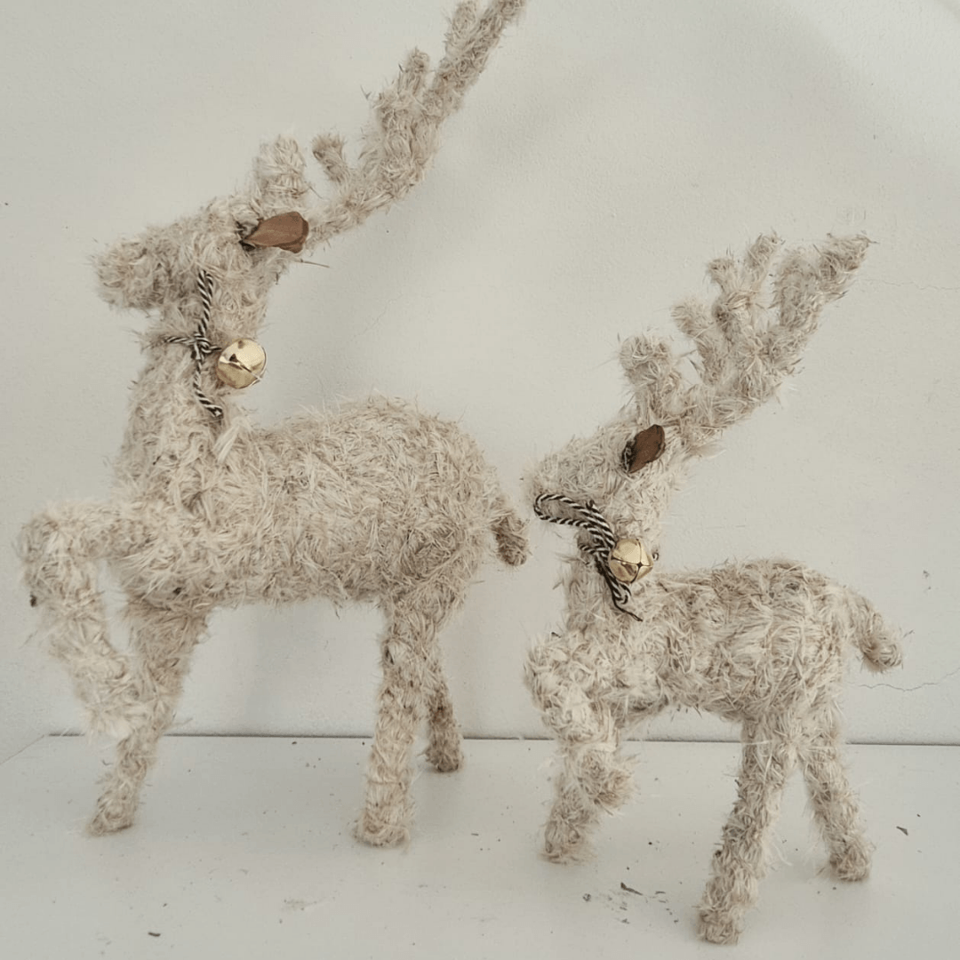 Reindeer Mphephu – Natural