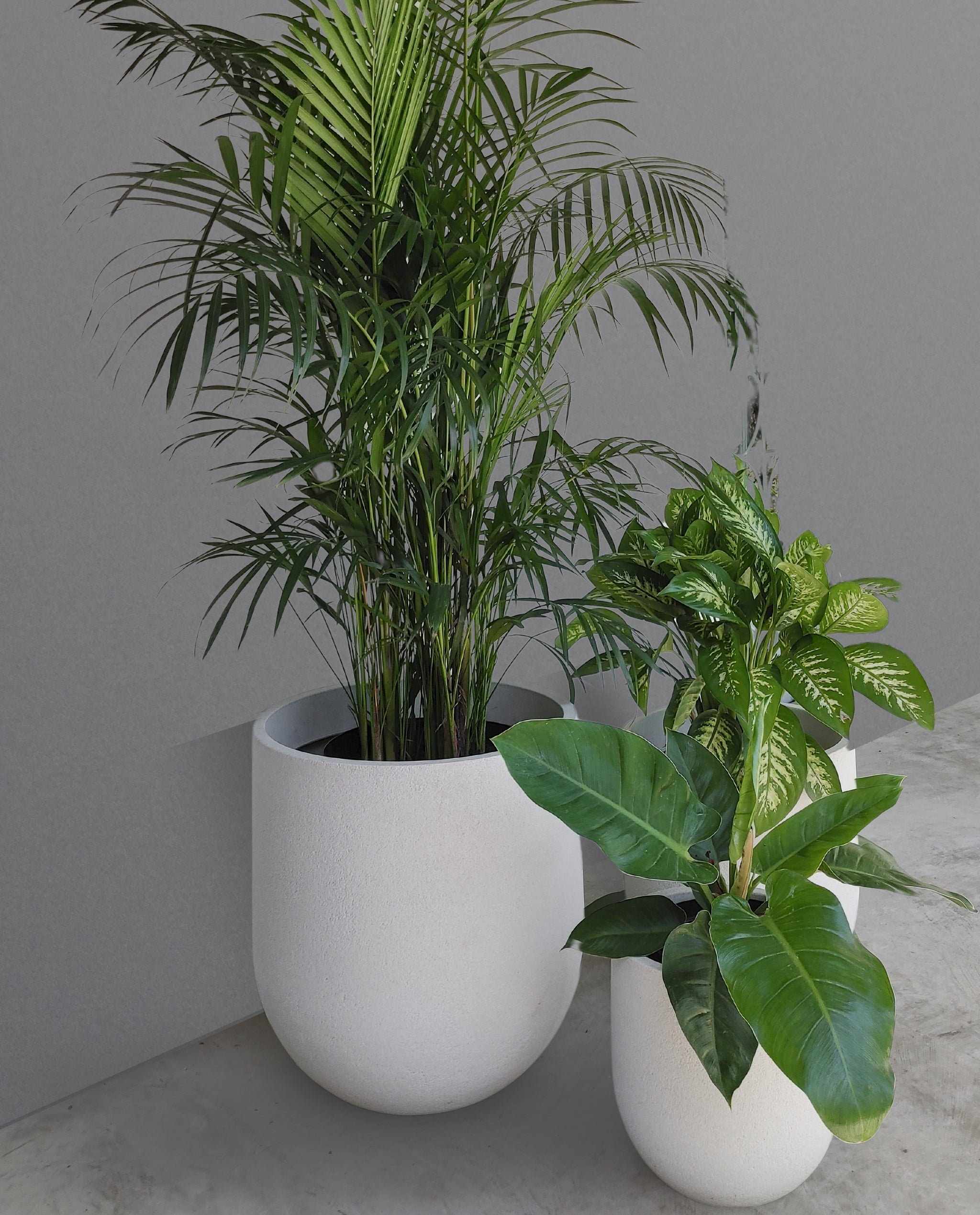 Rustic Cask Set of 3 Outdoor Planters