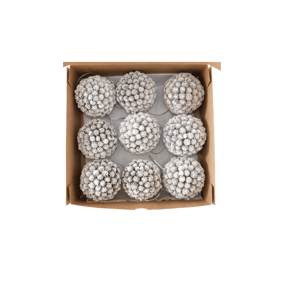Seed Balls with Glitter (Box of 9) – White