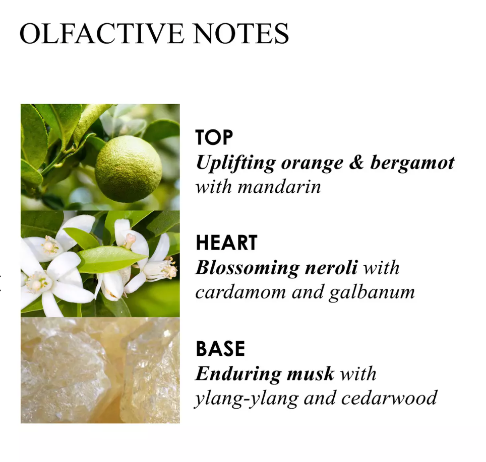 Molton Brown- Orange & Bergamot - NetDécor 