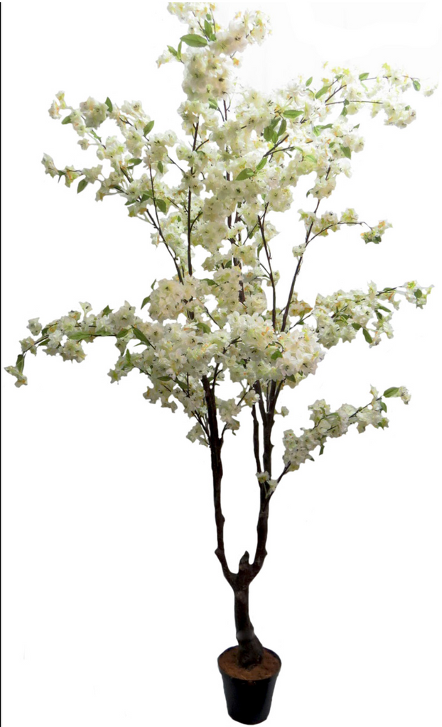 195cm White Cherry Blossom Tree - NetDécor 