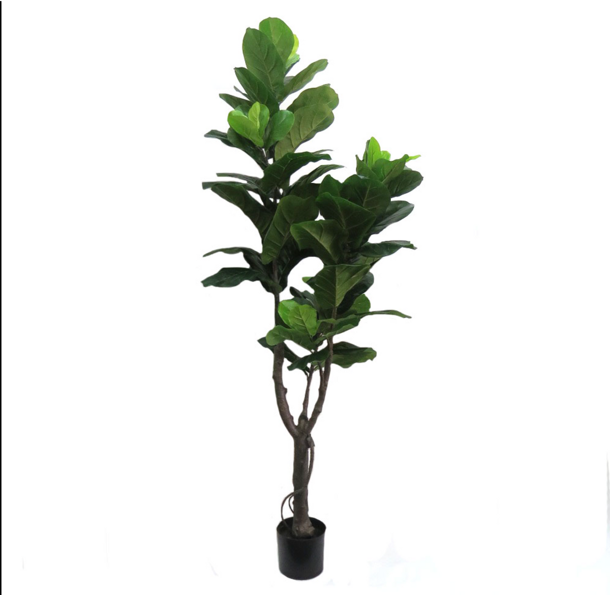 150cm Fiddle Faux Fig Tree - NetDécor 