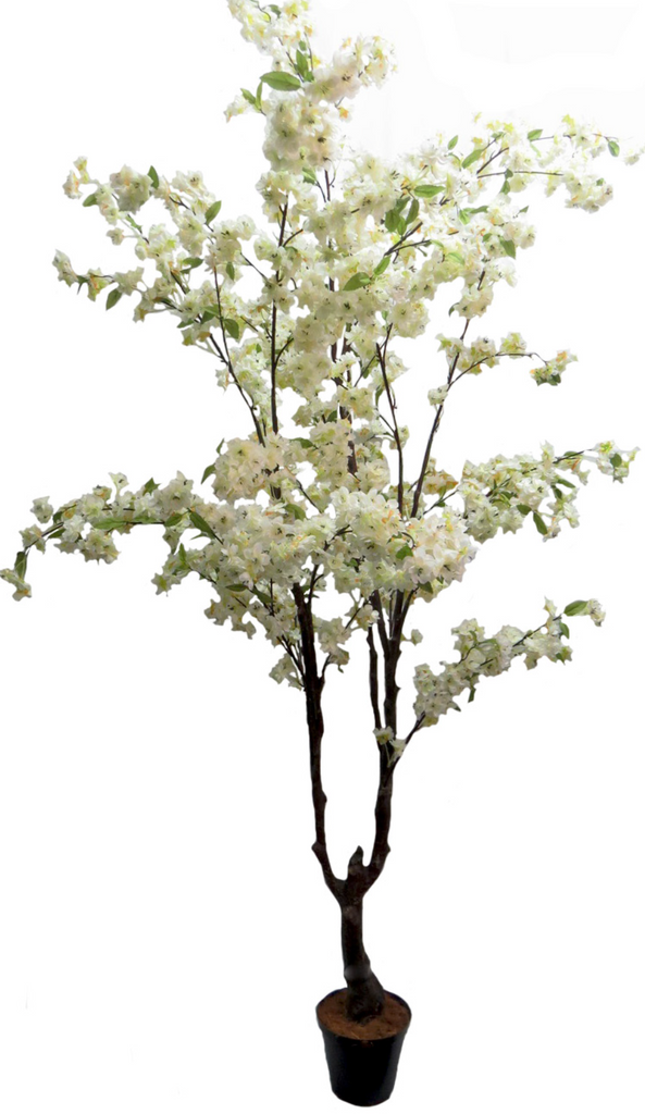 195cm Faux White Cherry Blossom Tree - NetDécor 