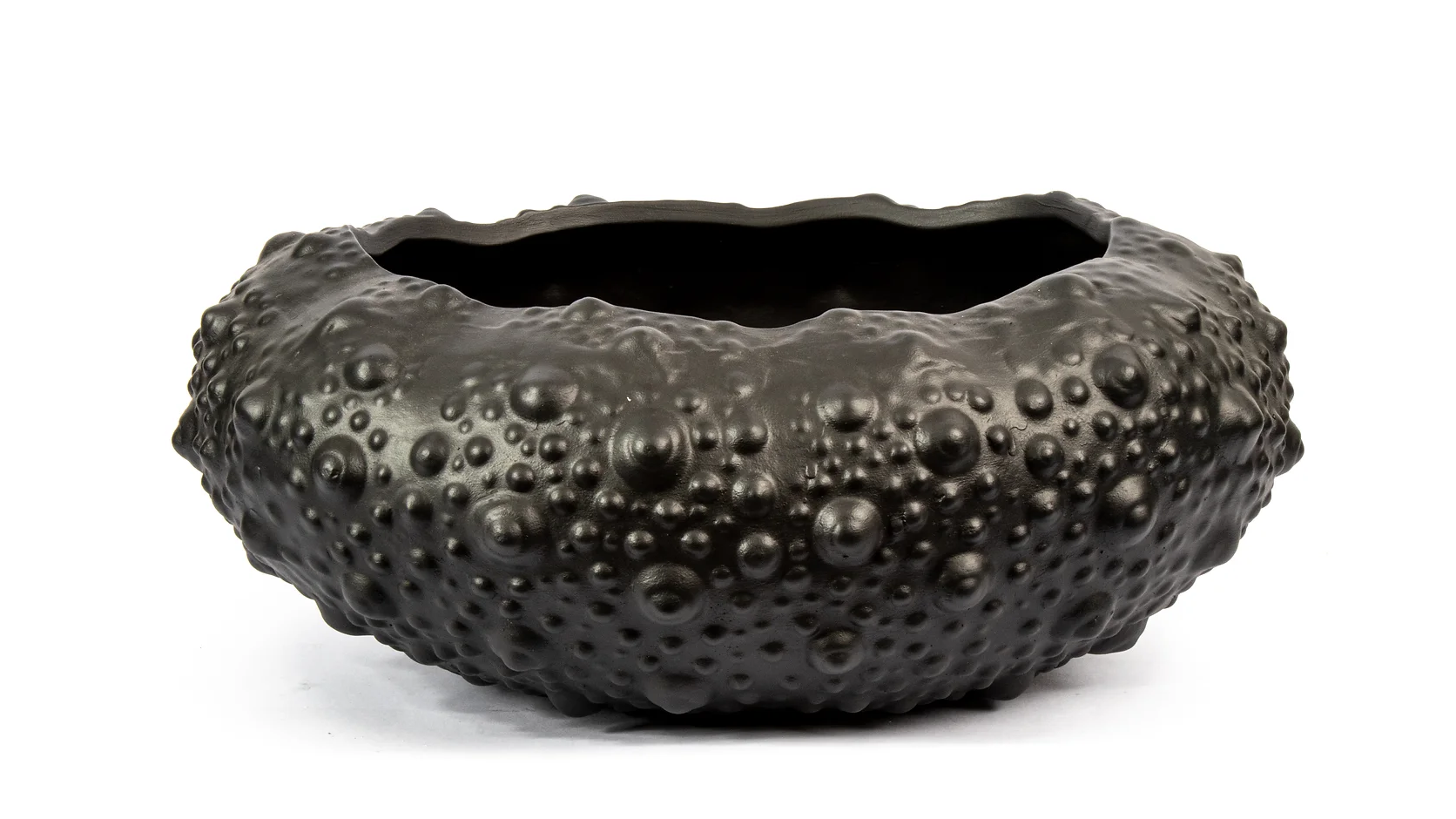 Ceramic Barnacle Bowl