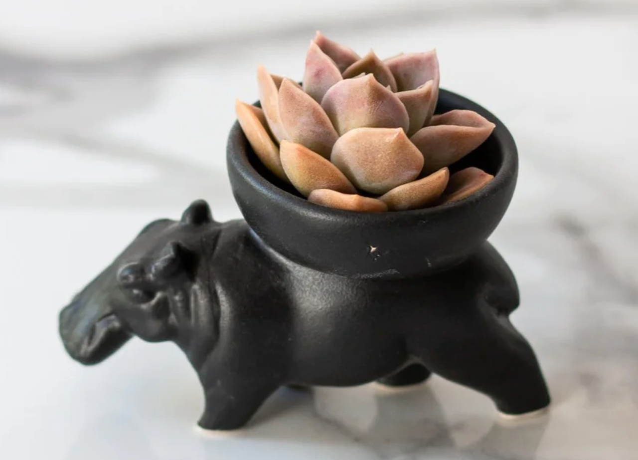 Hippo Bowl