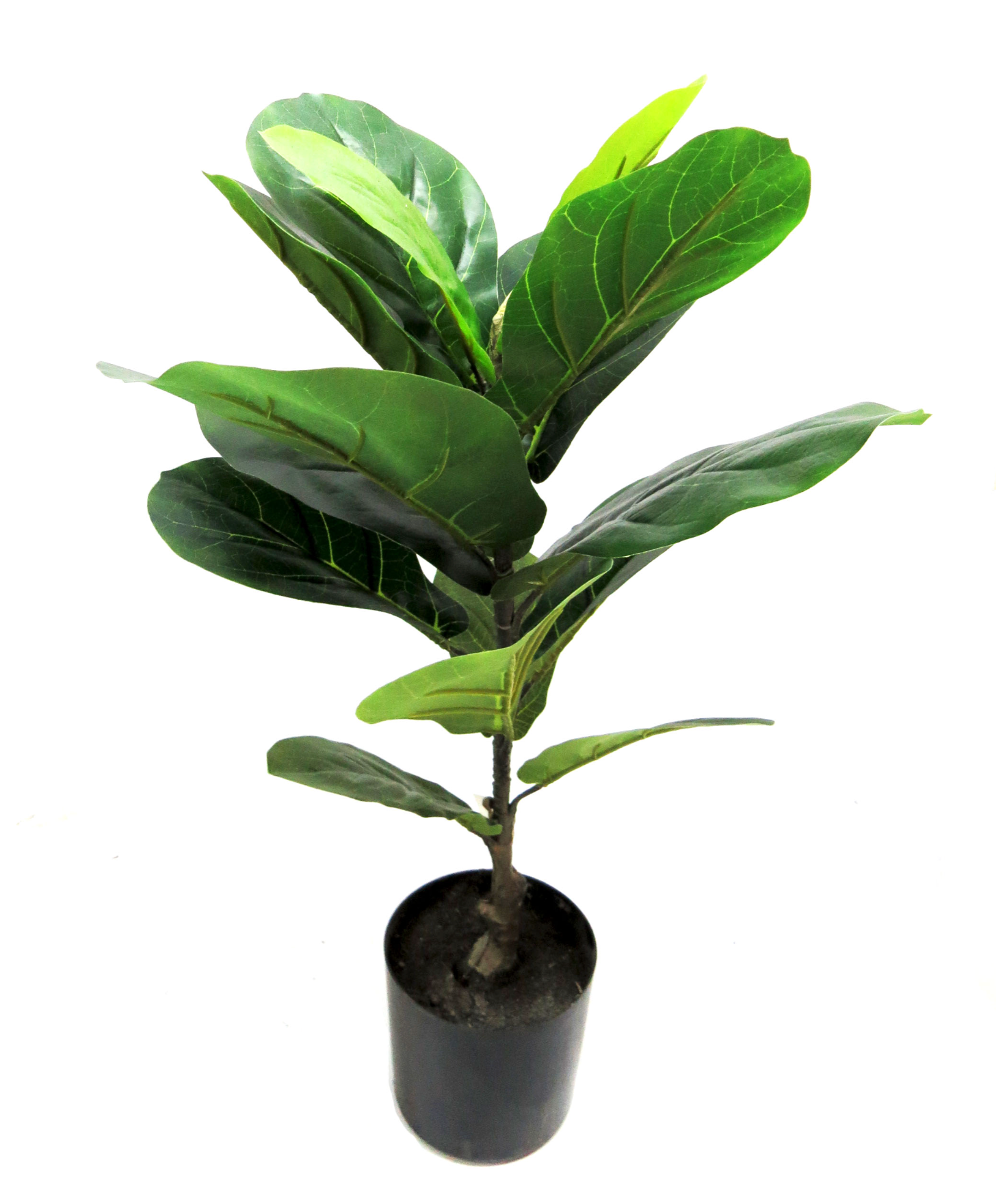 58cm Faux Fiddle Tree
