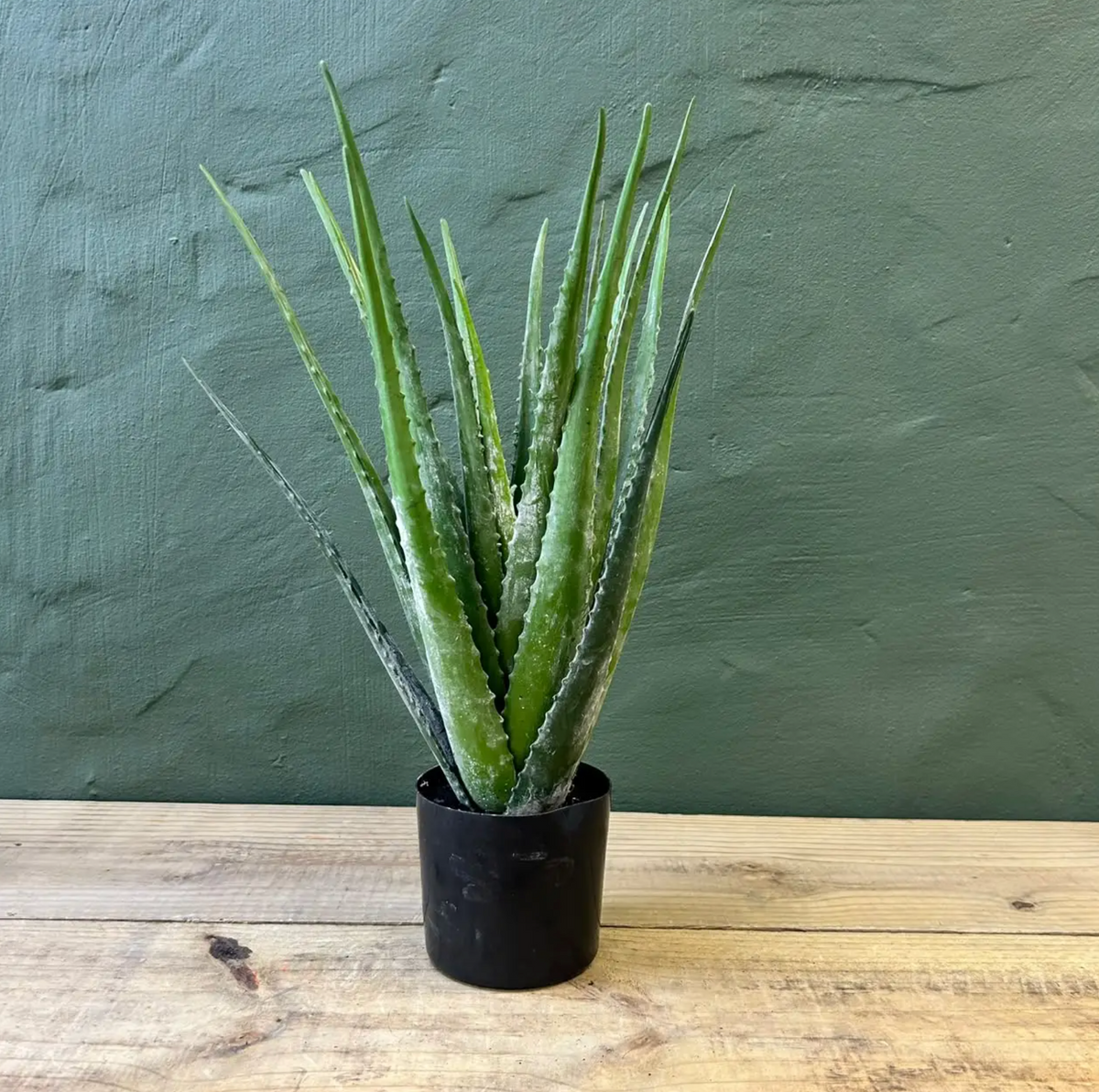 54cm Faux Aloe