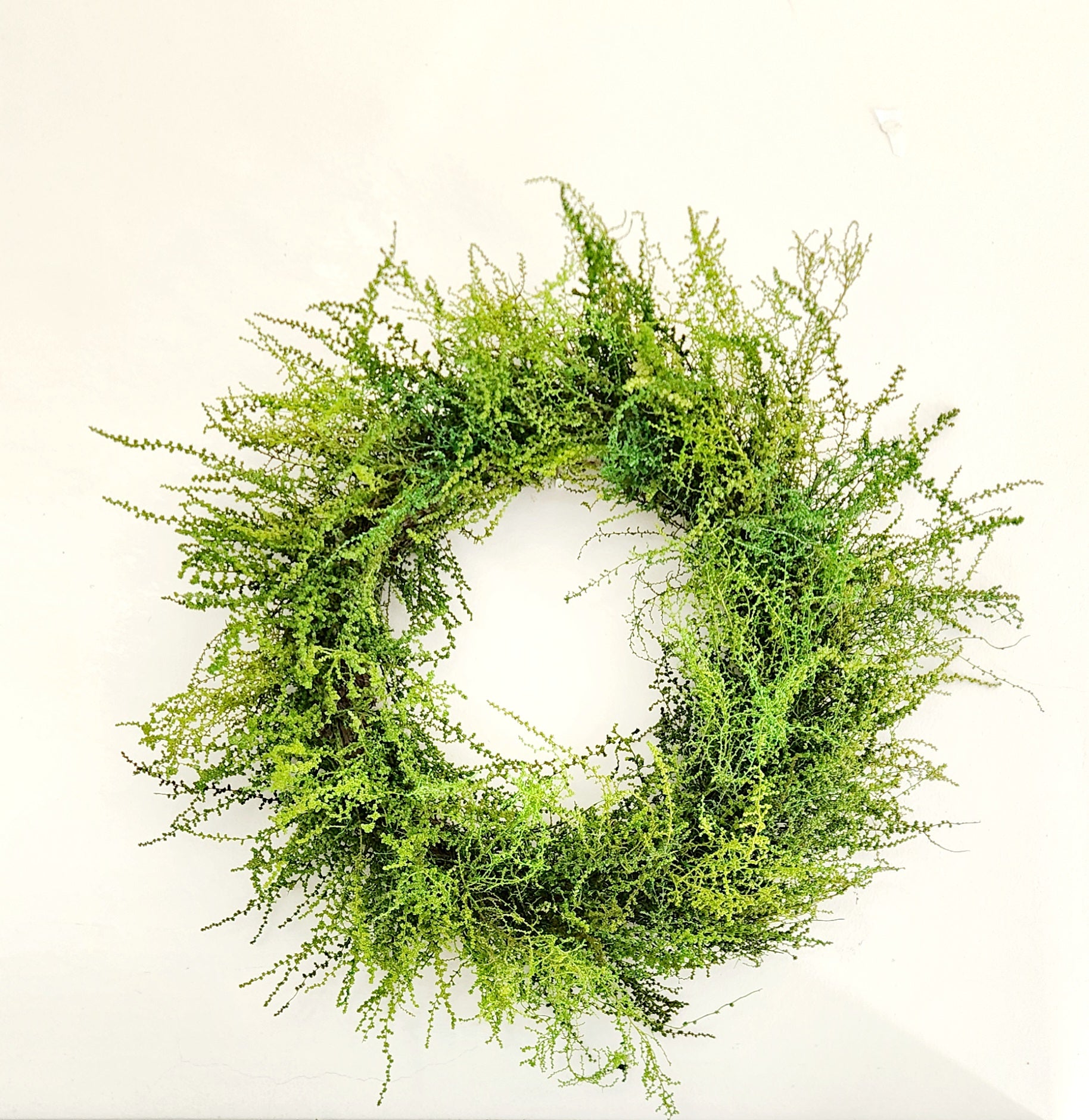 Lime Slangbos  Wreath