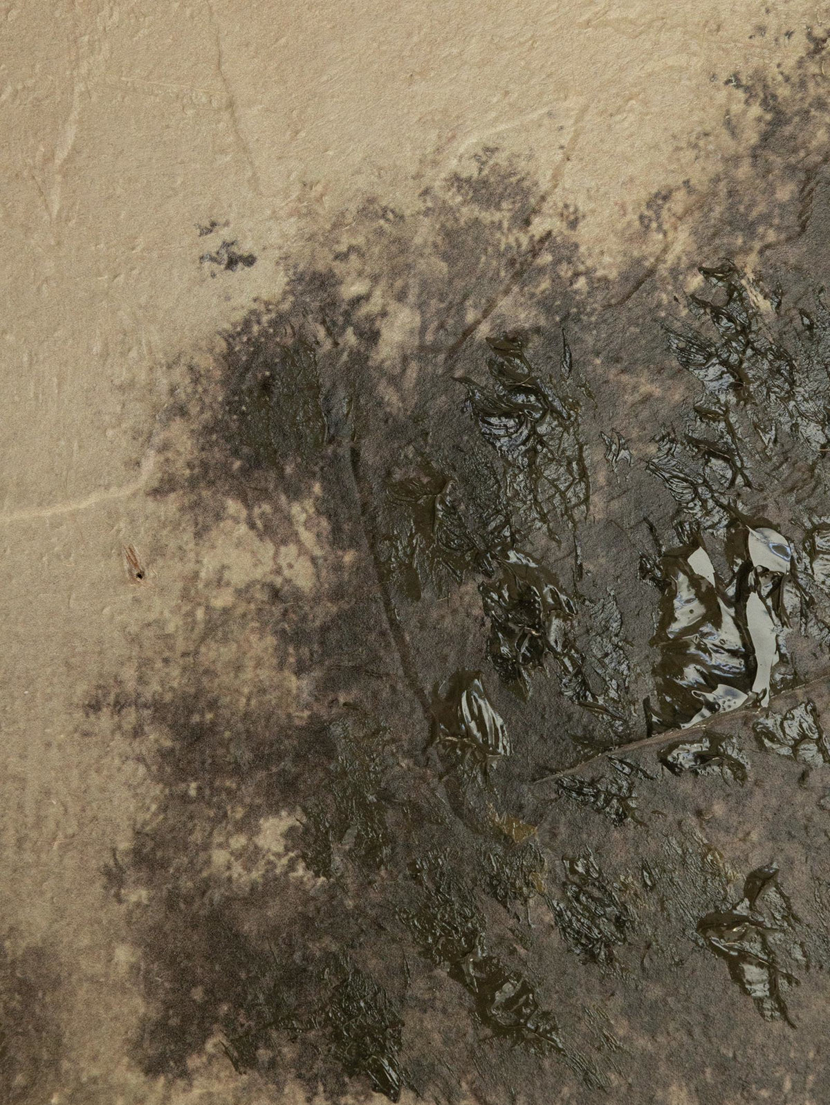 TIMEWORN FIELD ART IMP XL in Sepia