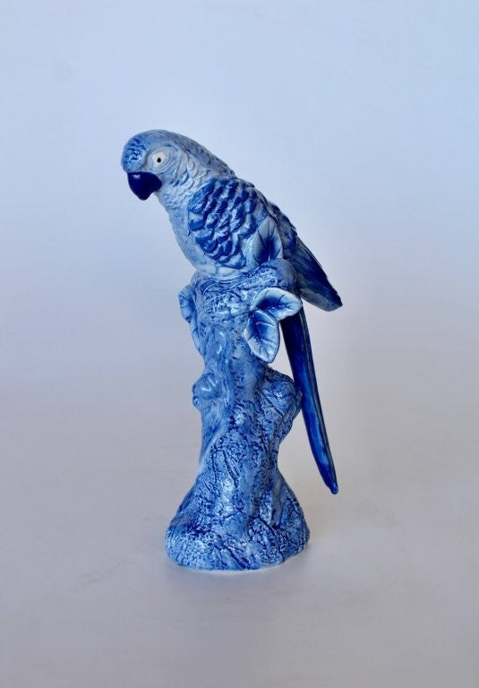 Blue Parrot
