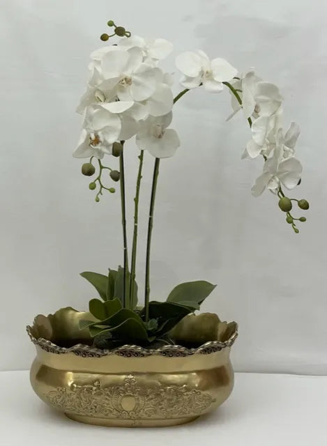 Tub Victorian Antique Brass