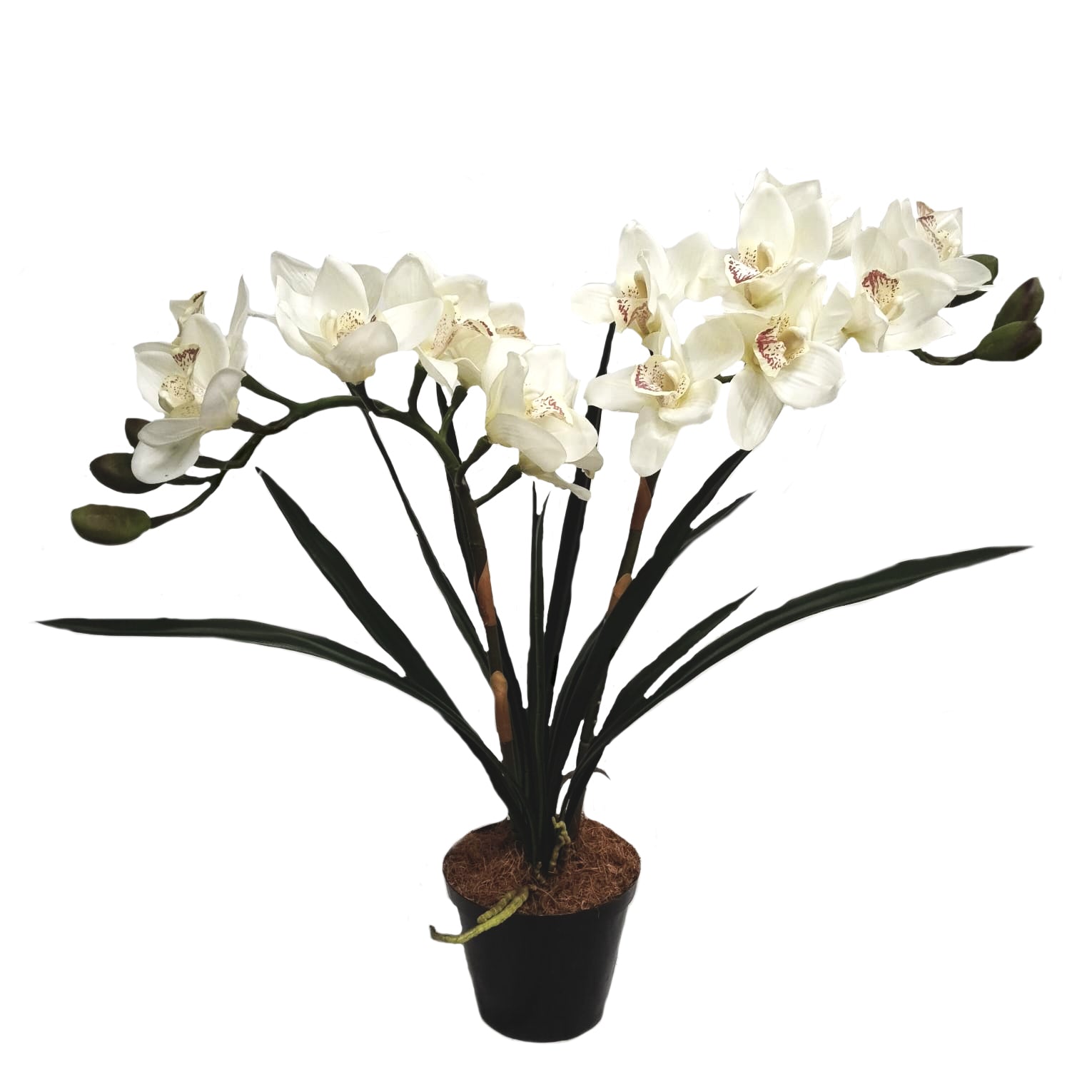 65cm Tall Faux White Orchid