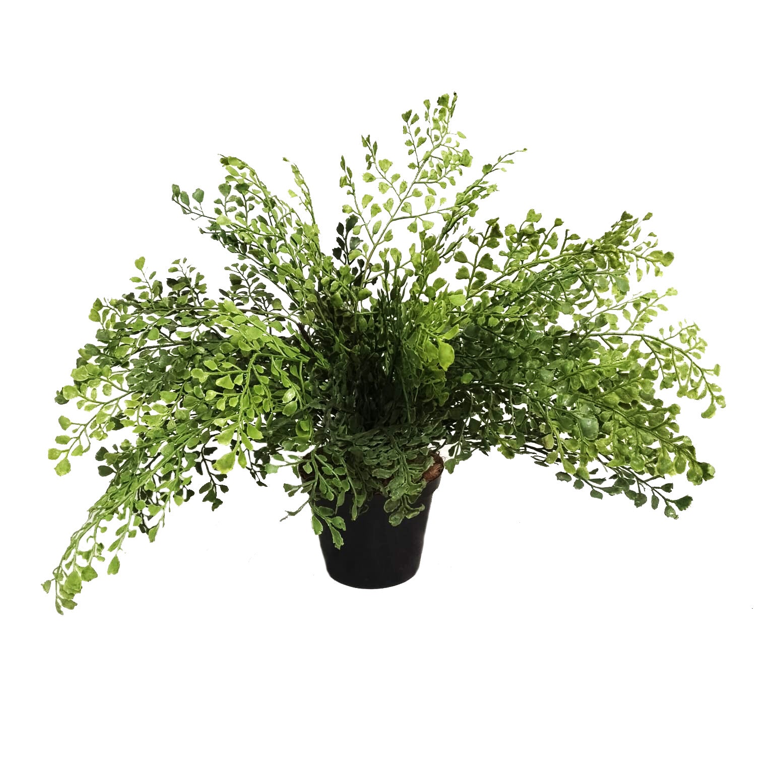 40cm Tall Faux  Maidenfern