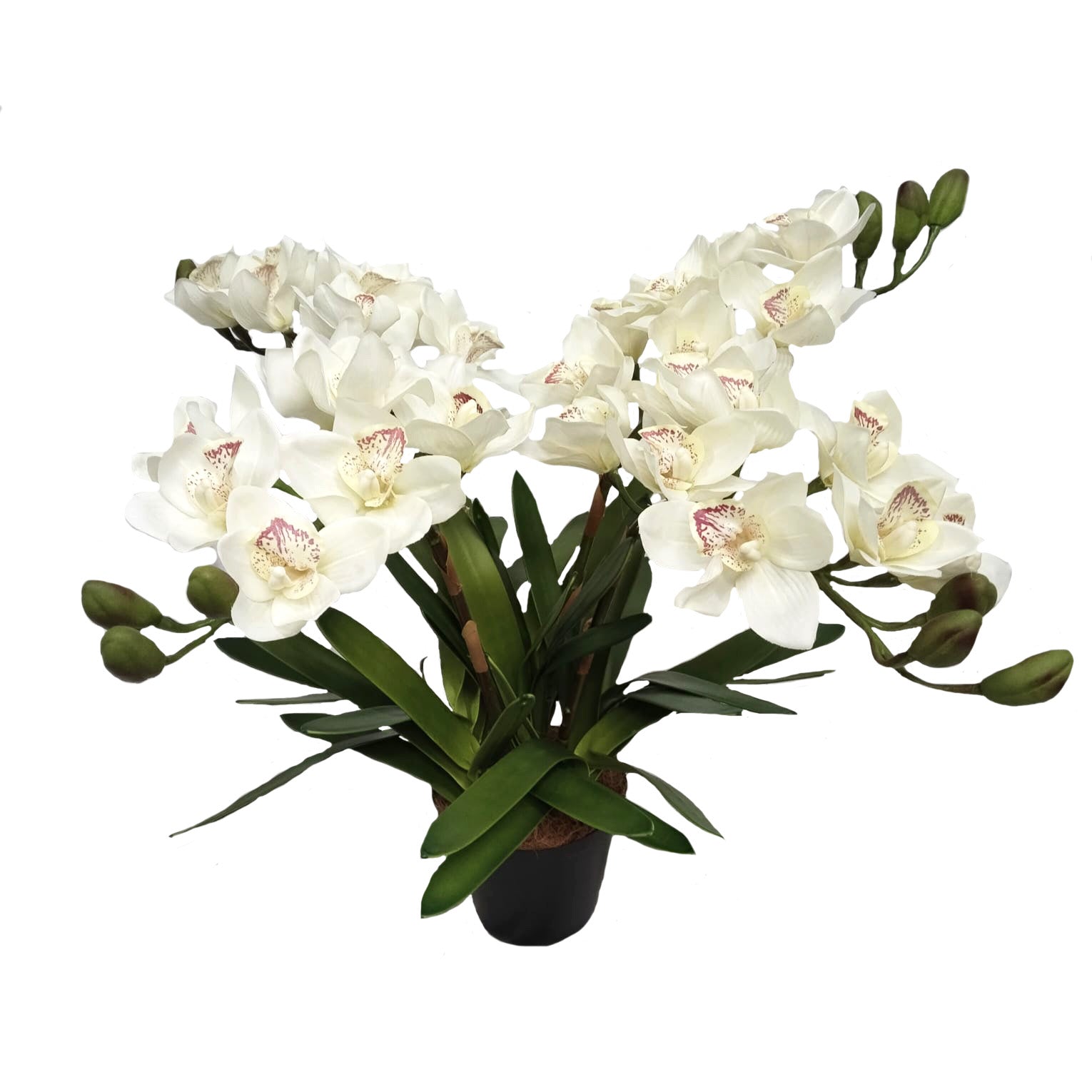 4 Stems Extra  Large Faux White Orchid