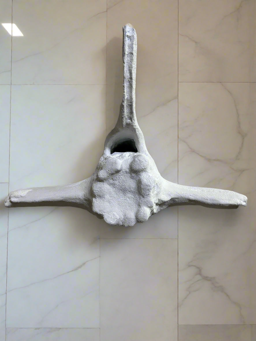 Faux Whale Bone Vertebrae Wall Sculpture