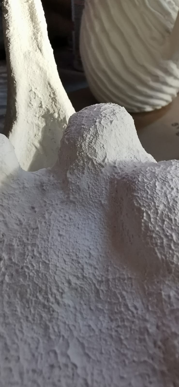 Faux Whale Bone Vertebrae Wall Sculpture