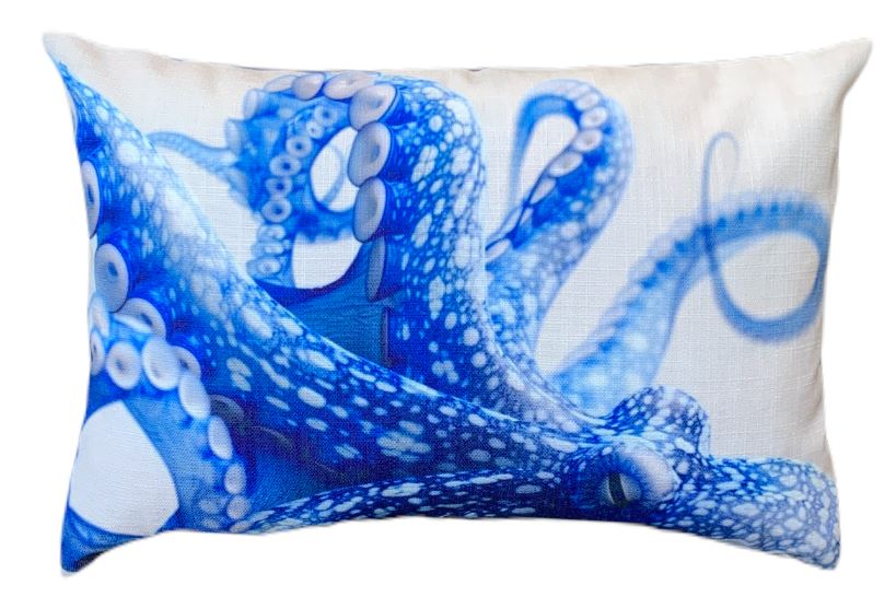 Blue Squish Scatter Cushions