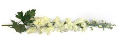 White Delphinium Spray – 12 Stem | 79cm Artificial Bloom