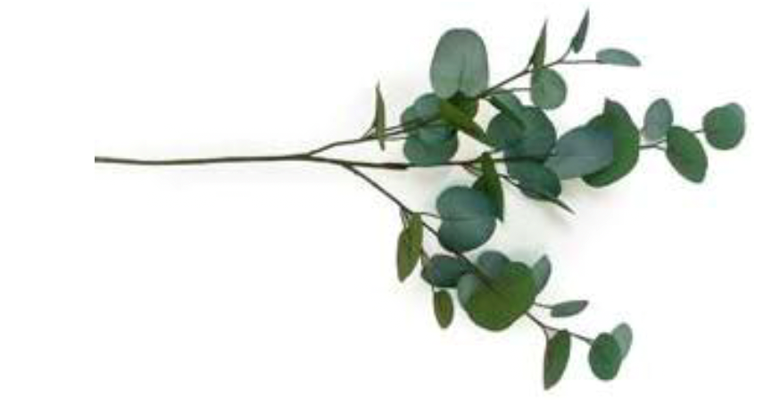 A single eucalyptus spray branch with green oval leaves on a thin stem, shown on a white background next to product text reading '474 Eucalyptus Spray 28.5"/72cm Grey Green' and 