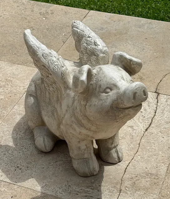 Flying Pig Bust