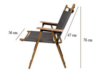 Foldable Picnic Chair in a Bag