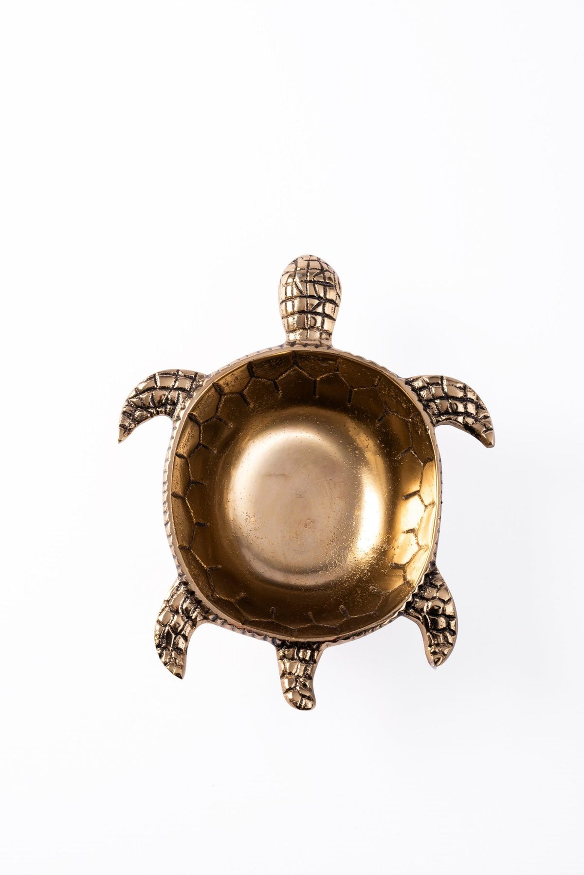 DUDLEY TURTLE DEEP BOWL BRASS