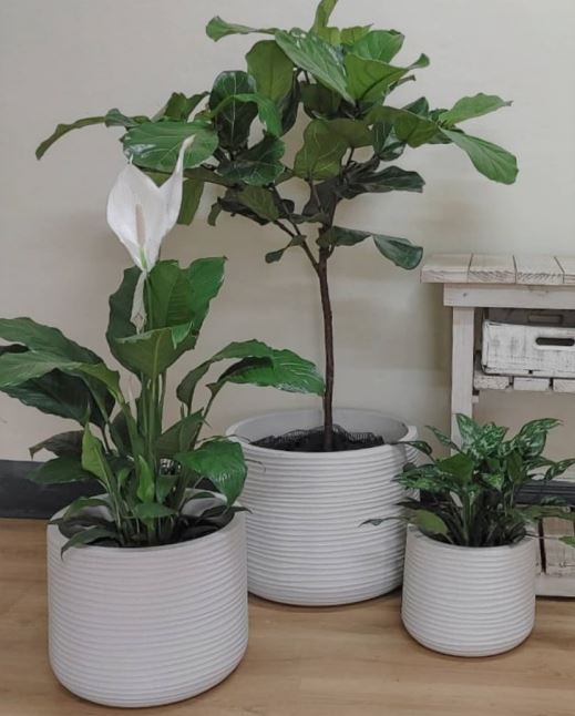 Lagoon Set of 3 Outdoor Planters