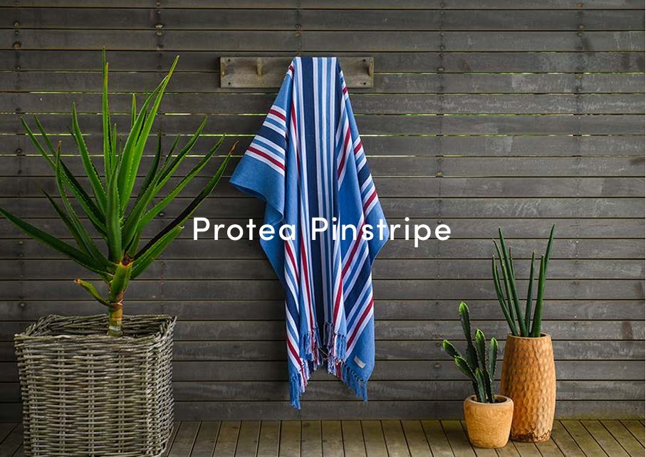 200cm Protea Pinstripe Throws