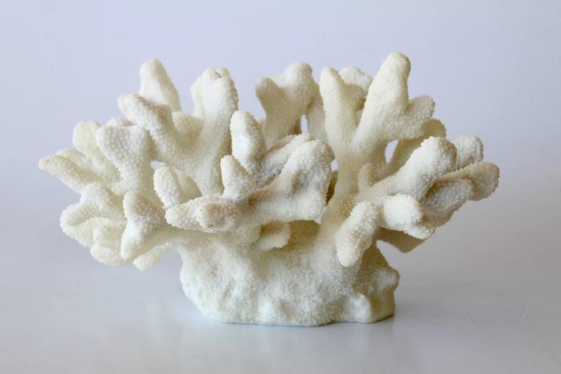 A Pretty Faux Coral & Starfish Coastal Summer Centerpiece - Setting for Four