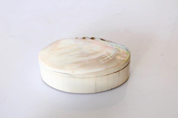 LARGE MOTHER OF PEARL SHELL BOX - NetDécor 