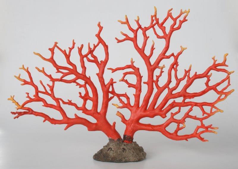 Extra Large Red Coral On Stand - NetDécor 