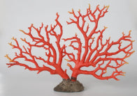 Extra Large Red Coral On Stand - NetDécor 