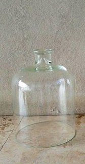 Glass Dome With Large Knob - NetDécor 