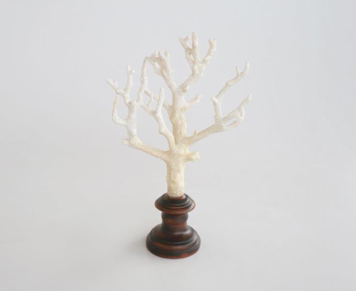 Natural Coral On Stand - NetDécor 