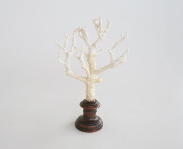 Natural Coral On Stand - NetDécor 