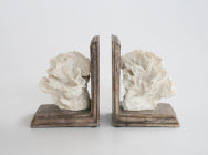 Pair Natural Coral Bookends - NetDécor 