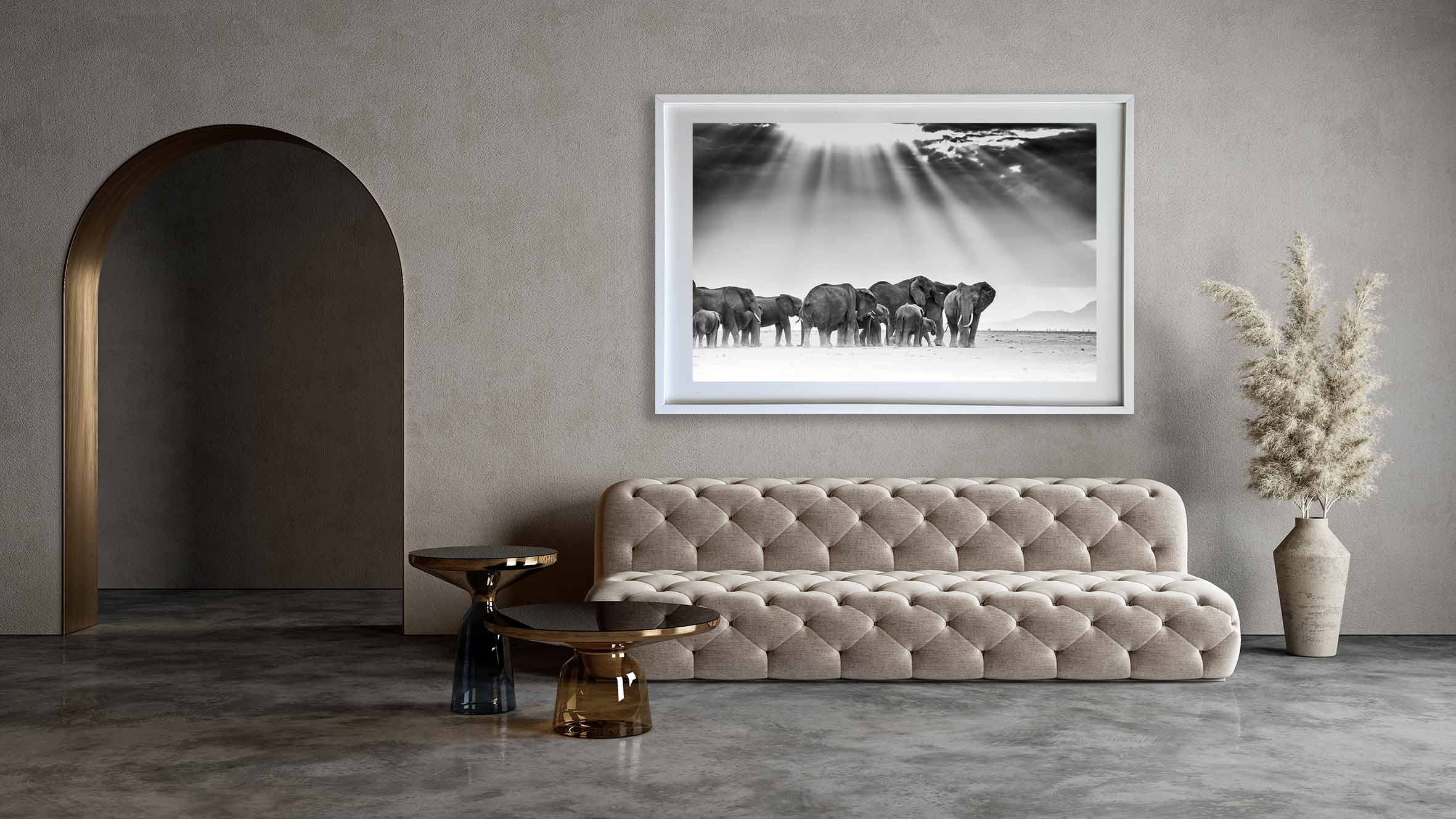 Limited Edition Peeked Landscape - NetDécor 