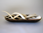 Polished Med Kudu Inner Horn - NetDécor 