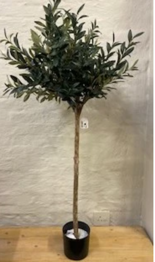 4 Ft Olive Tree - NetDécor 
