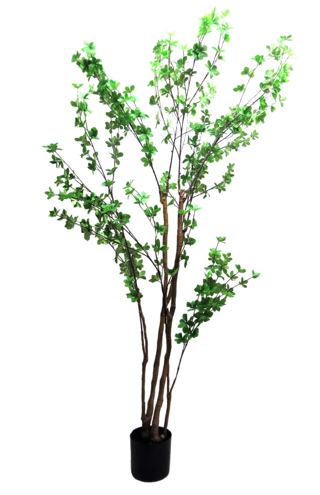 Rondiflorium Faux Trees - NetDécor 