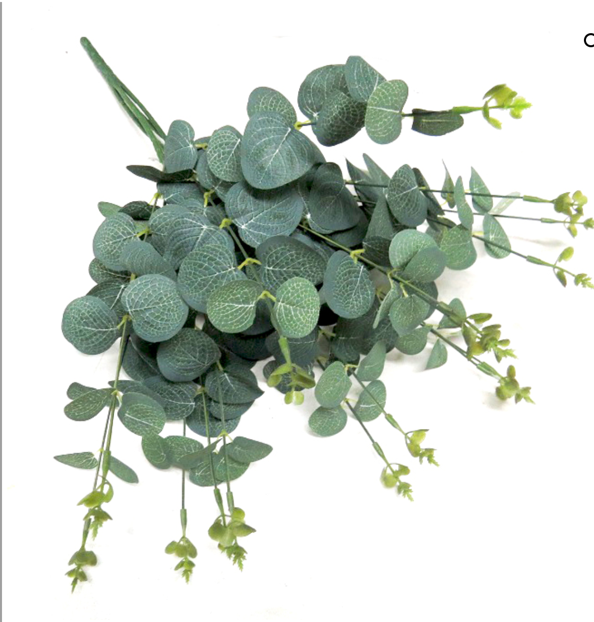 Eucalyptus leaf deals