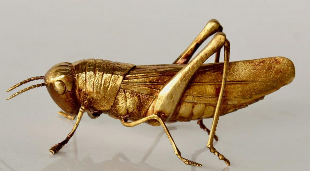 Gold Locust - NetDécor 