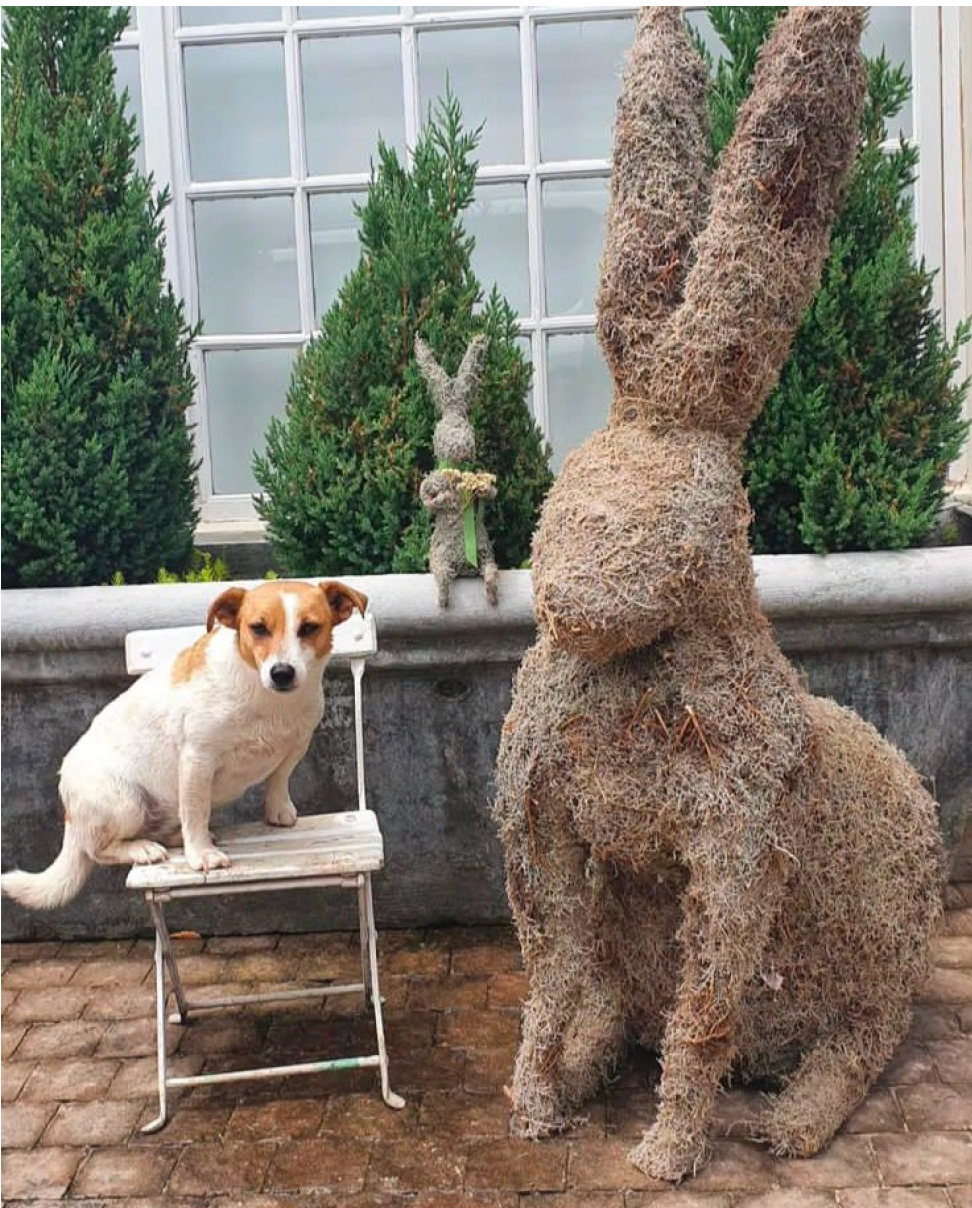 XL 1.3m Fynbos Sitting Rabbit - NetDécor 